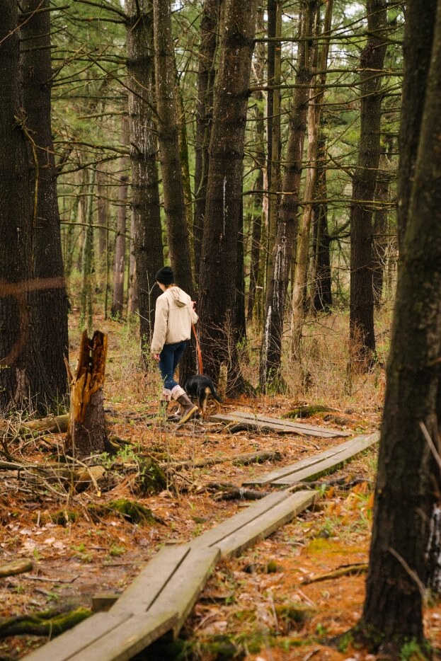 Daniel Schechner walking a dog through the woods