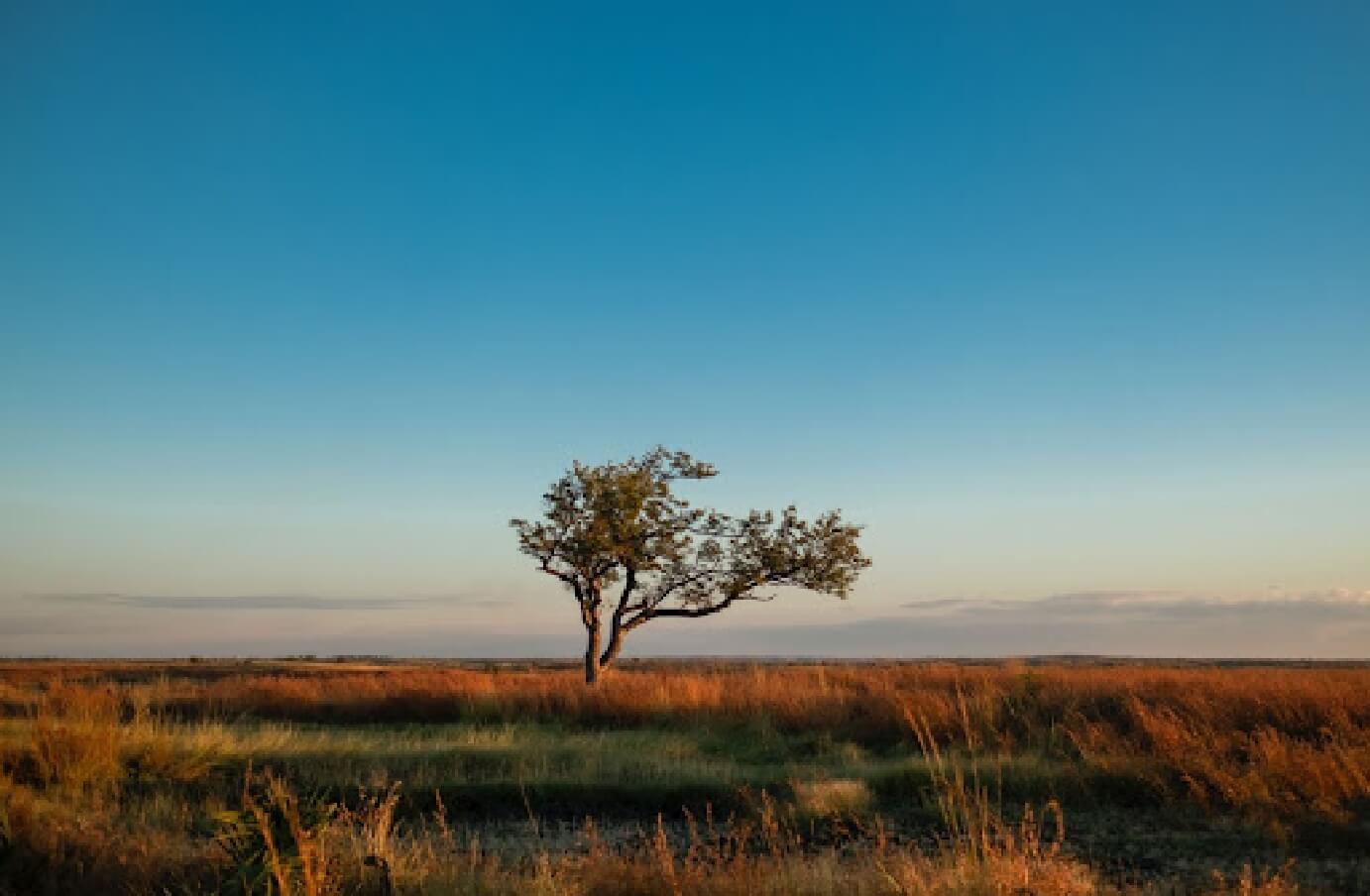 Scenic shot of a landscape in Madagascar