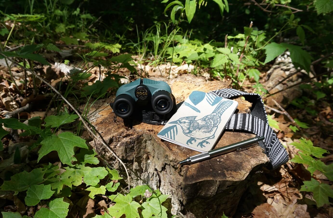 A pair of Nocs standard issue 8x25 on a rock surrounded by green bushes, with a notebook and a pen