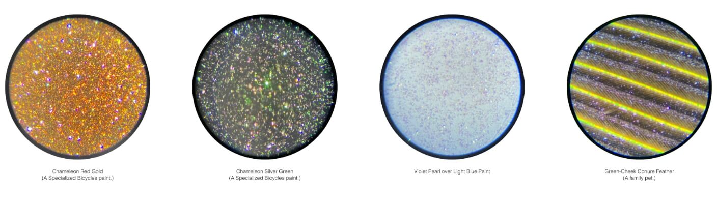 microscope samples, from left to right: chameleon red gold (a specialized bicycles plant), chameleon silver green (a specialized bicycles plant), violet pearl over light blue paint, green-cheek conure feather (a family pet)
