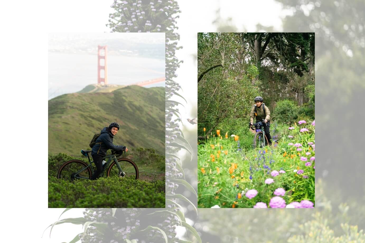 Artisitic photo collage of Mary Tolosa riding her bike through various nature landscapes around san francisco