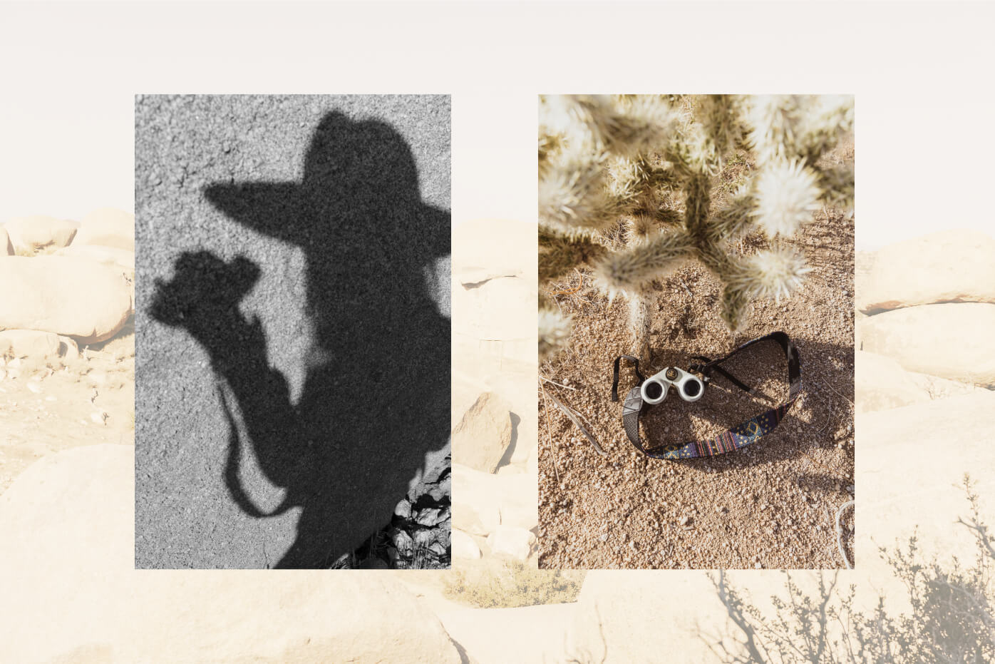 artistic image of Johnie Gall silhouette shadow, and Nocs near a cactus