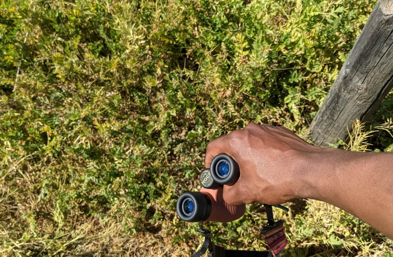 Photography of Travis Coleman holding a pair of Nocs in his right hand, while on a hike