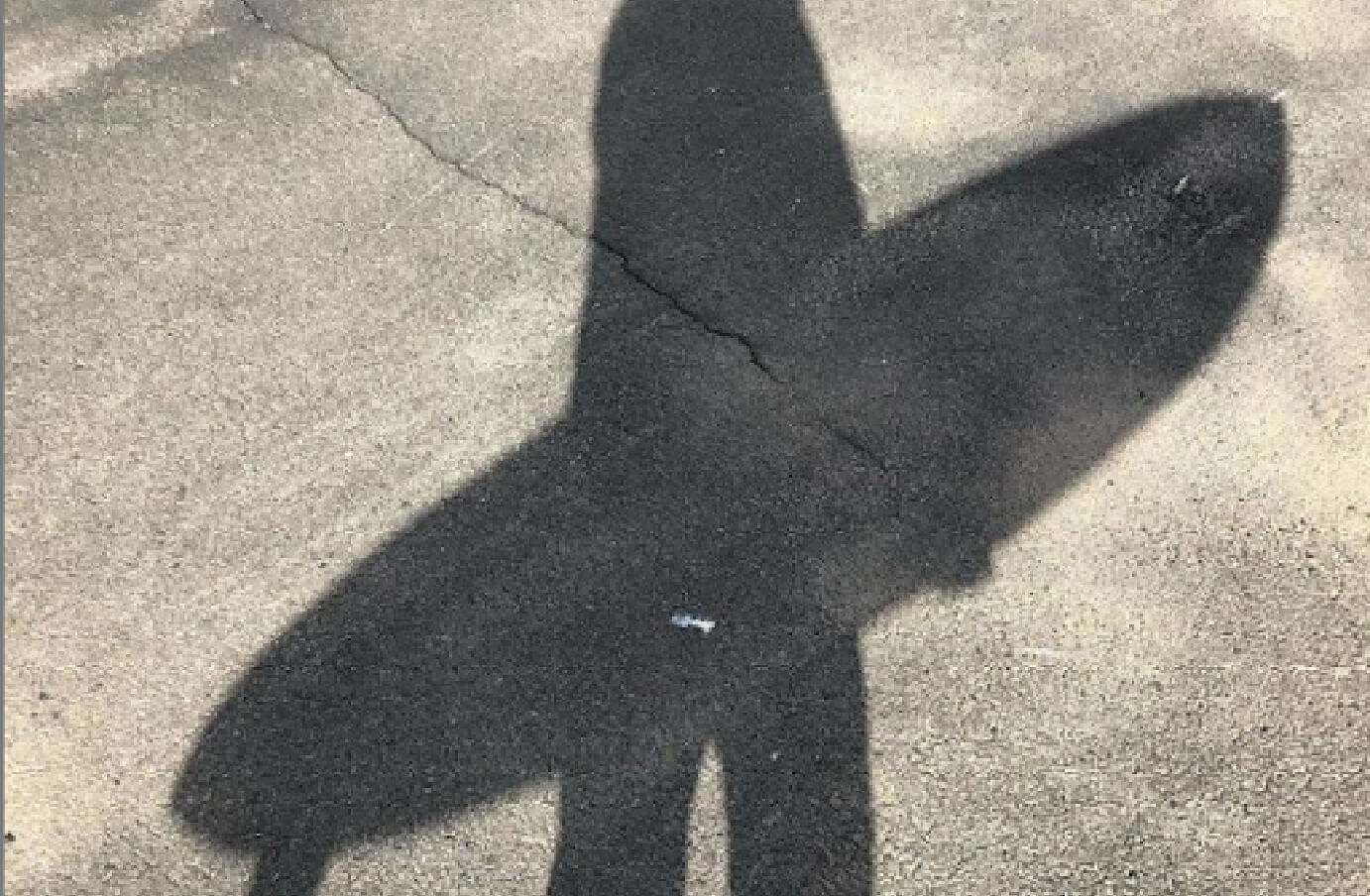 Shadow on some pavement of a silhouette of a man holding a surfboard