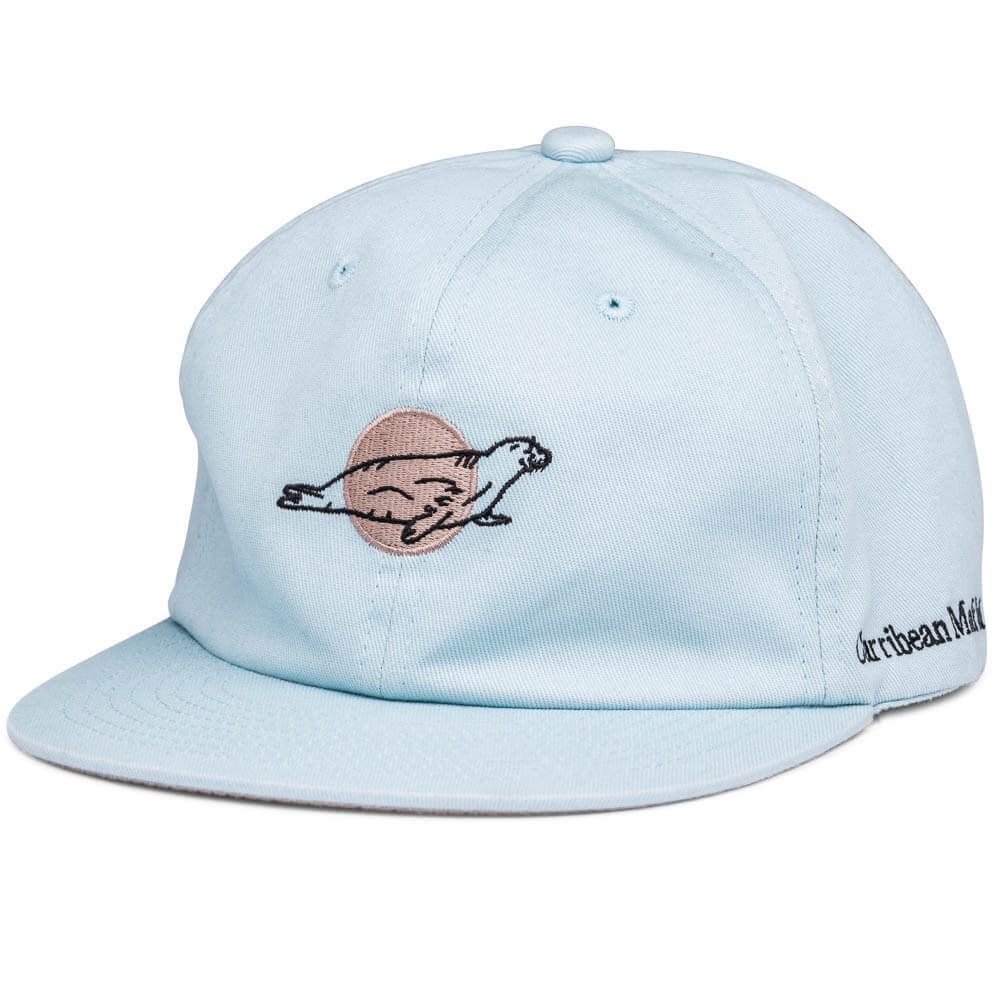 CARRIBEAN MONK SEAL (BLUE) Extinct Creature Six Panel Collection product image #1