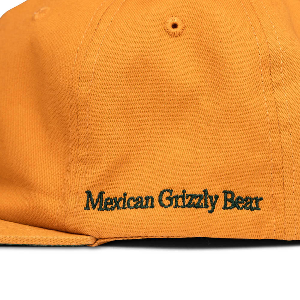 MEXICAN GRIZZLY BEAR (YELLOW) Extinct Creature Six Panel Collection product image #4