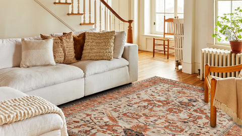 Rugs for Living Room 