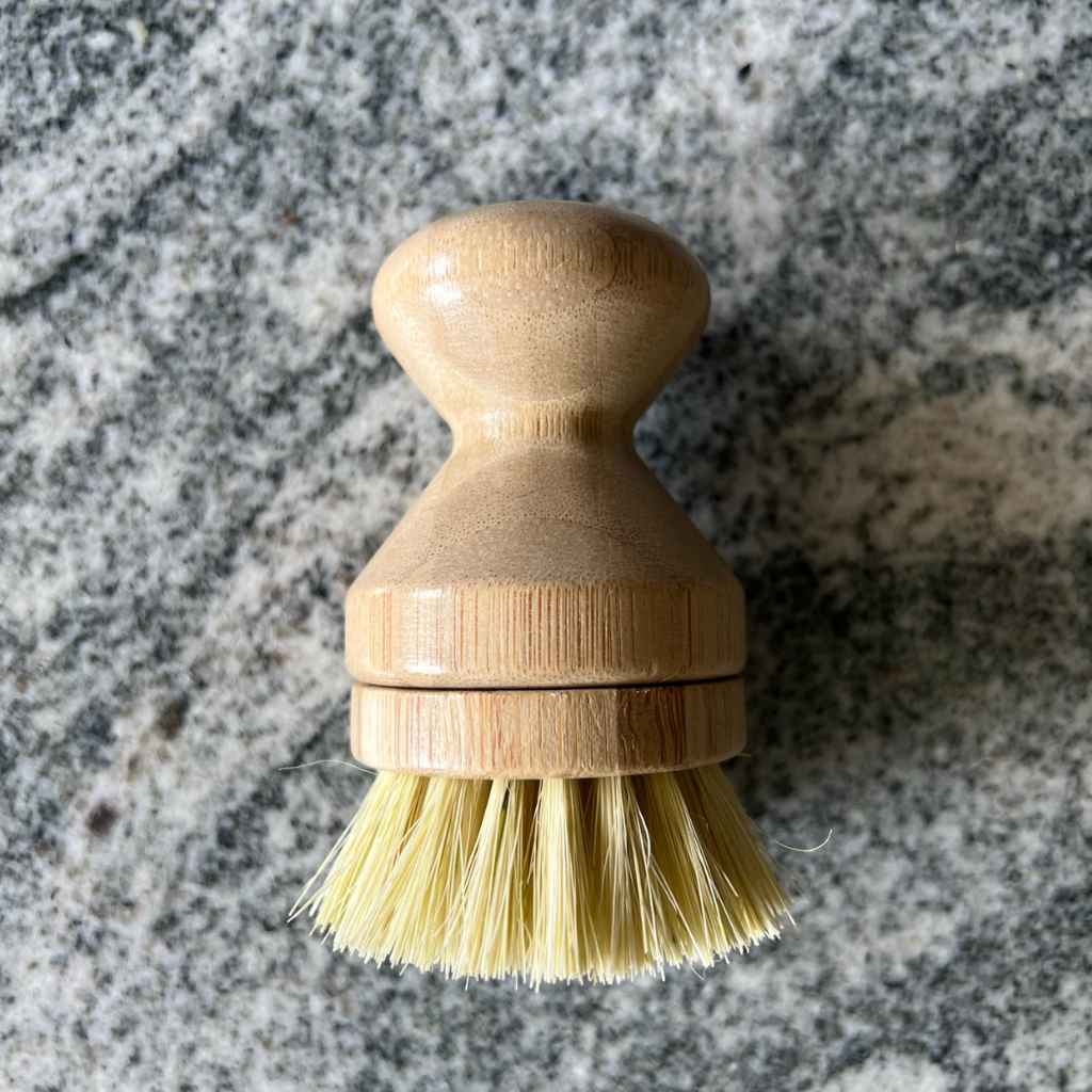 Dish Brush  One-Piece Handle & Replaceable Brush Head - What's Good