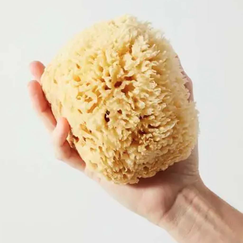 Reusable Eco Sponges - Organic Cotton Mesh - What's Good