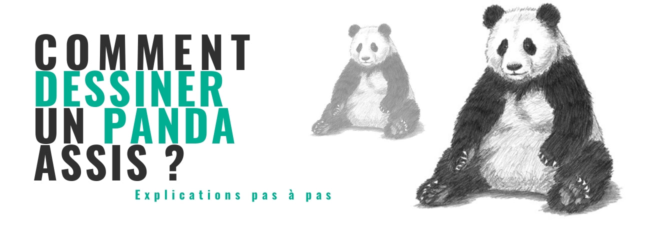 Dessin de Panda