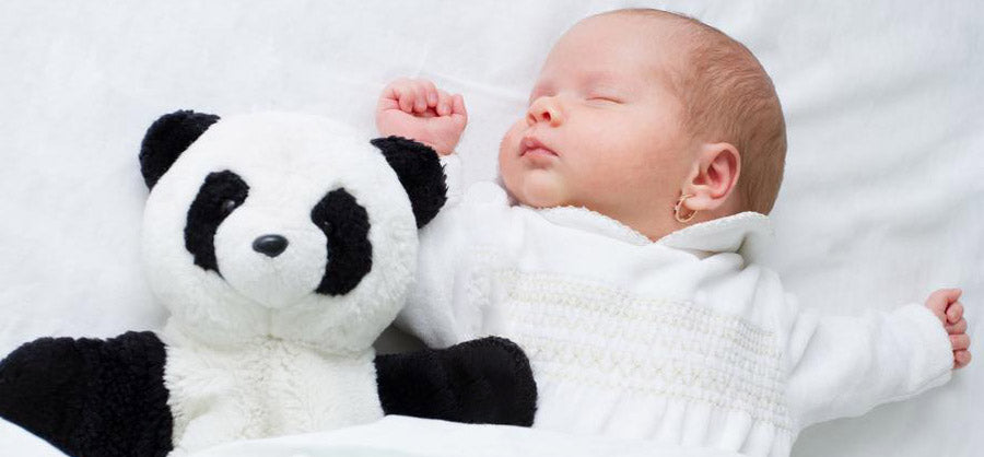 Doudou Panda Petit Panda