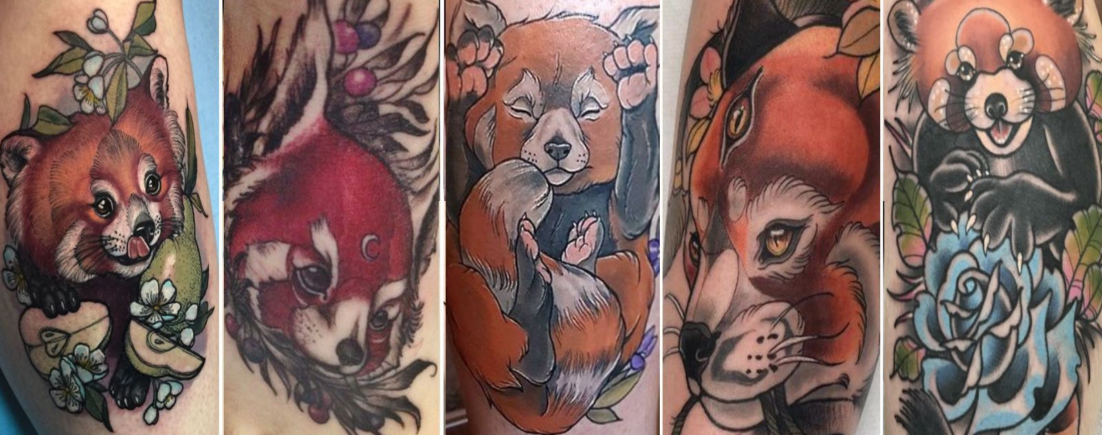 Tatouage Panda Roux