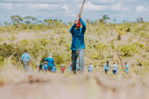 Farmer ploughs the land before planting trees, image by Daterra 