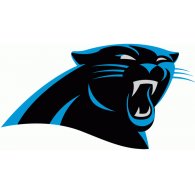 Hallmark Carolina Panthers Helmet Ornament