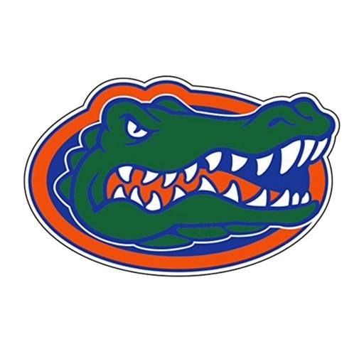 Logo Brands Florida Gators Football in the Sports Equipment department at