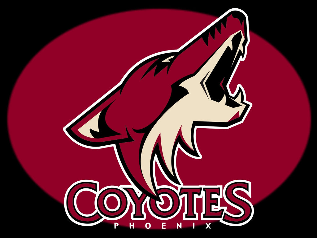 Image result for phoenix coyotes