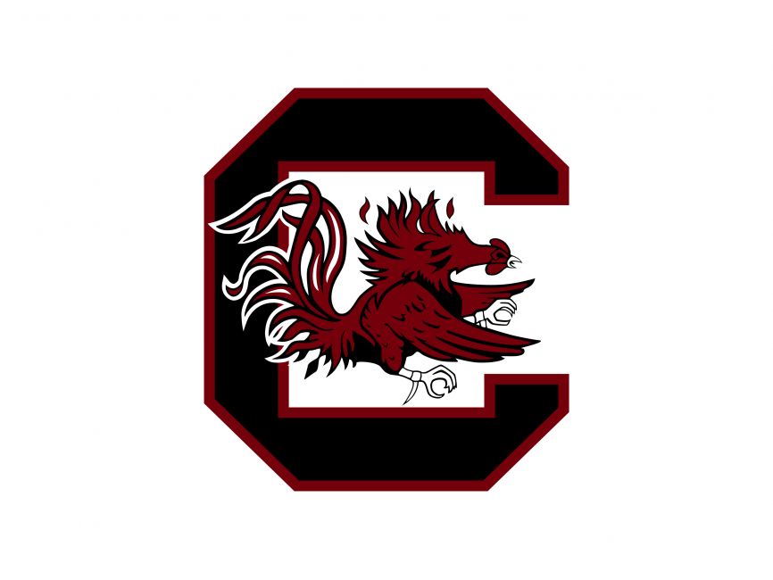 South Carolina Gamecocks Steering Wheel Cover