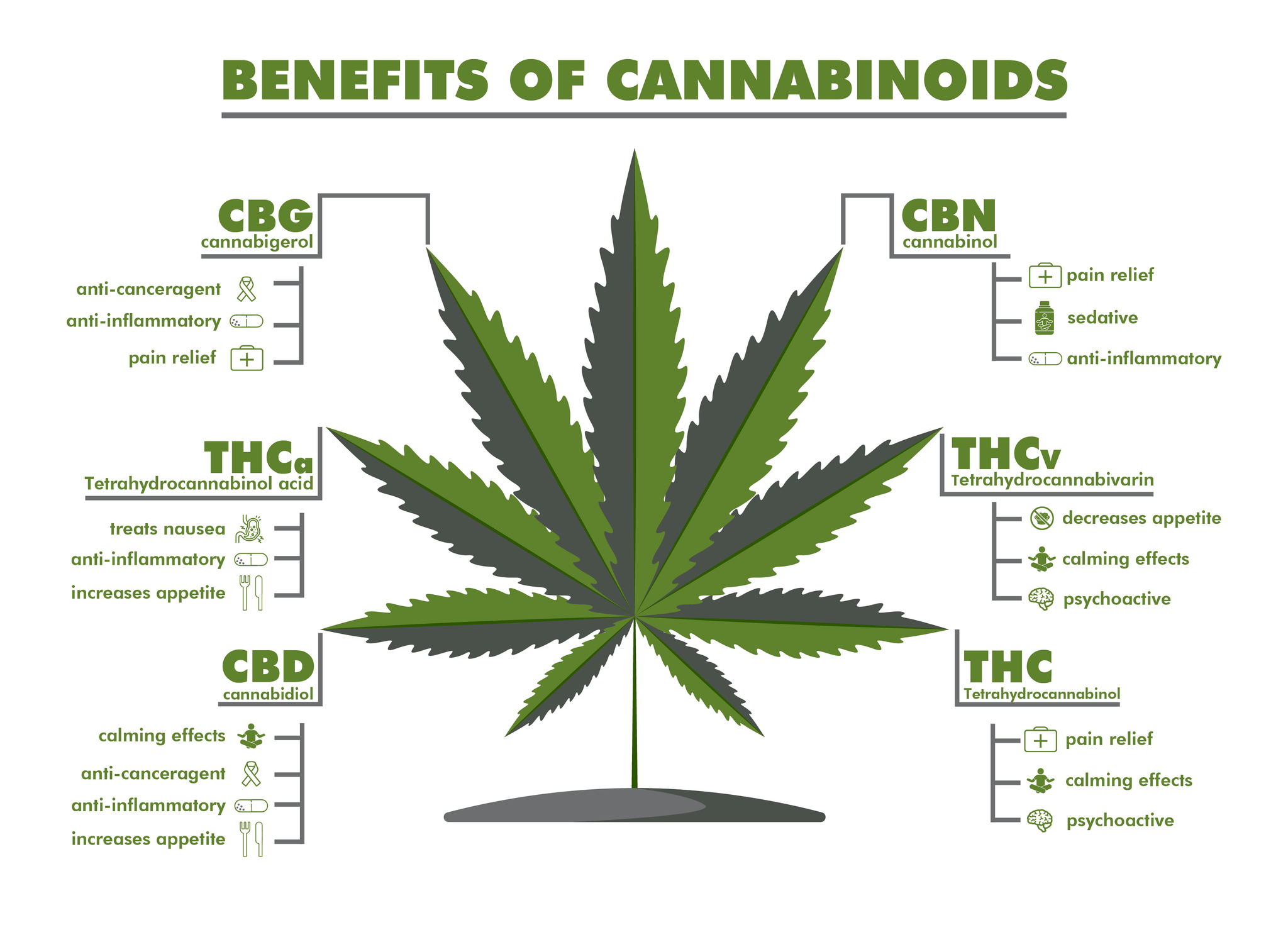 Shows a cannabis leaf in the middle. Shows different benefits of different cannabinoids. CBG, CBN, THCa, THCv, CBD and THC. CBG - anti canceragent, anti-inflammatory, pain relief. CBN - pain relief, sedative, anti-inflammatory. THCa-treats nausea, anti-inflammatory, increases appetite. THCv - decreases appetite, calming effects, psychoactive. CBD - calming effects, anti-canceragent, anti-inflammatory, increases appetite. THC - pain relief, calming effects, psychoactive