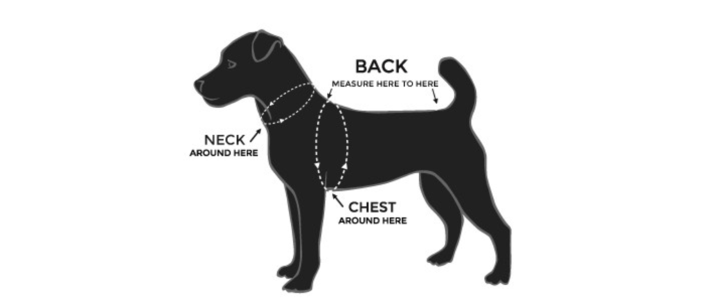 Prada Dog Coat Size Guide – Paw Roll