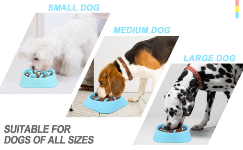 PawRoll Slow Feeder Dog Bowl – Paw Roll