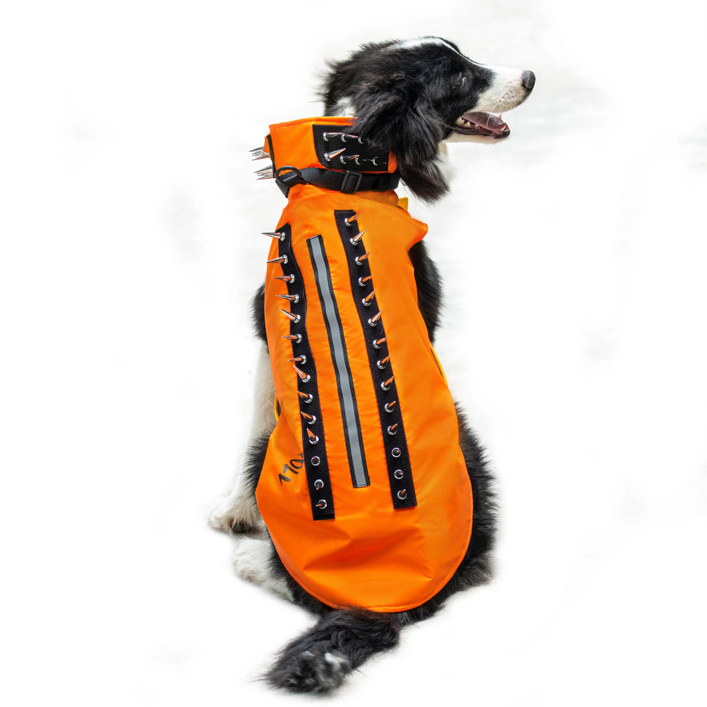 PawRoll™ Dog Spike Vest – Paw Roll