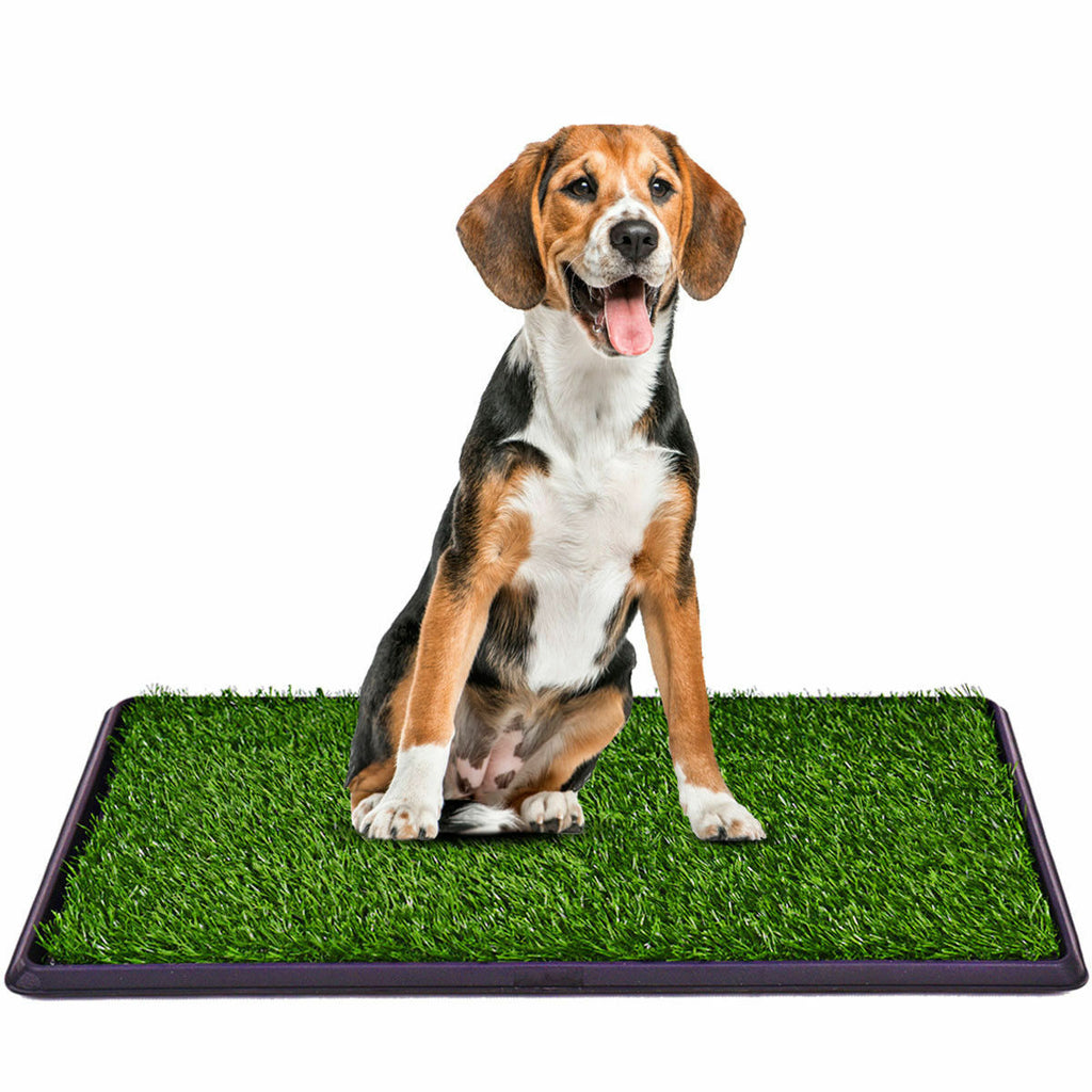 PawRoll Dog Lick Pad (2022) – Paw Roll