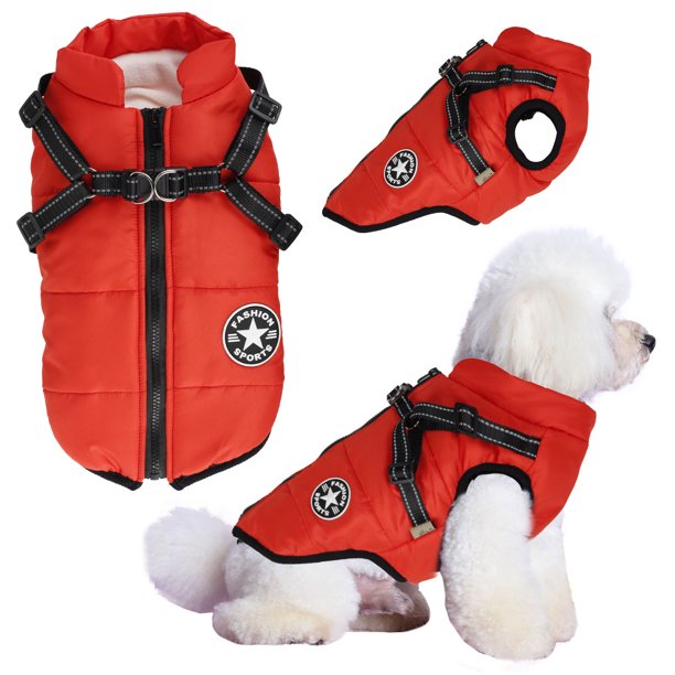 Pawtton Joy Designer Dog Winter Jacket