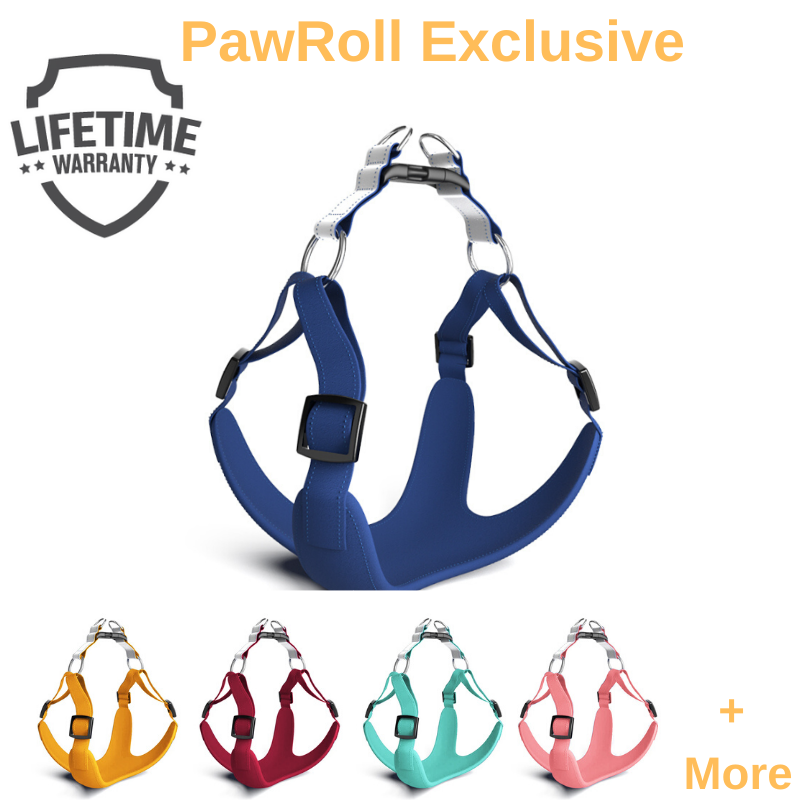 PawRoll No Pull Dog Summer Harness