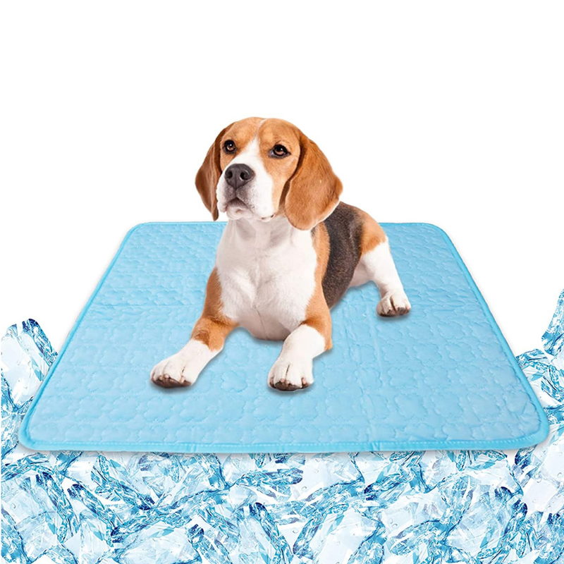 ALL FOR PAWS Dog Cooling Mat,Kiwi Cooling Pad for Dog,Cooling Dog Bed – All  for Paws Pet