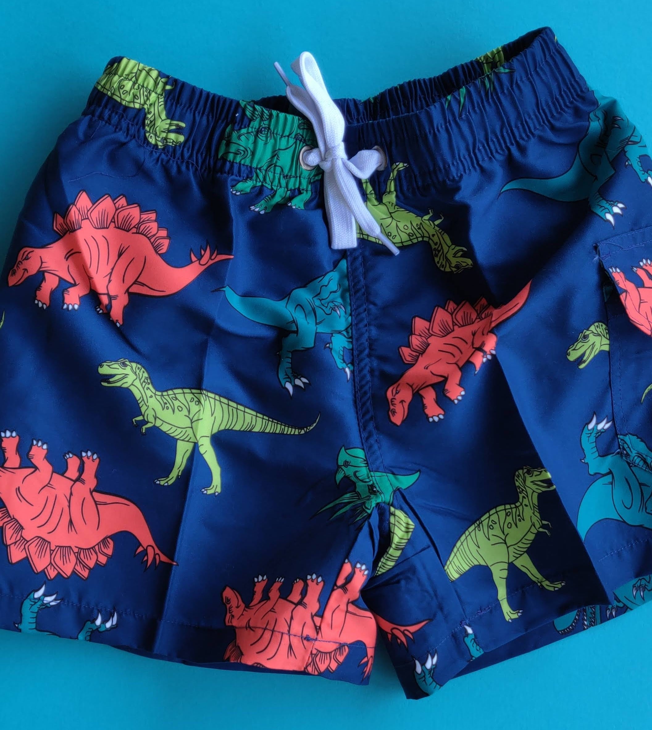 dinosaur swim trunks