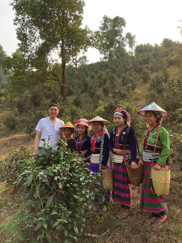 Kyisoe in Burma Tea fields