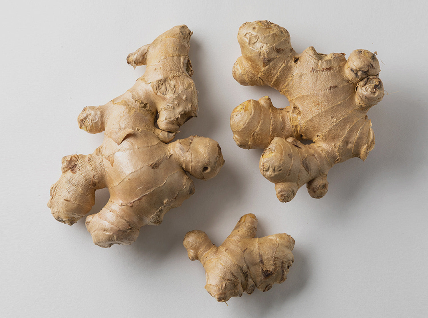 Nourished Ginger Extract