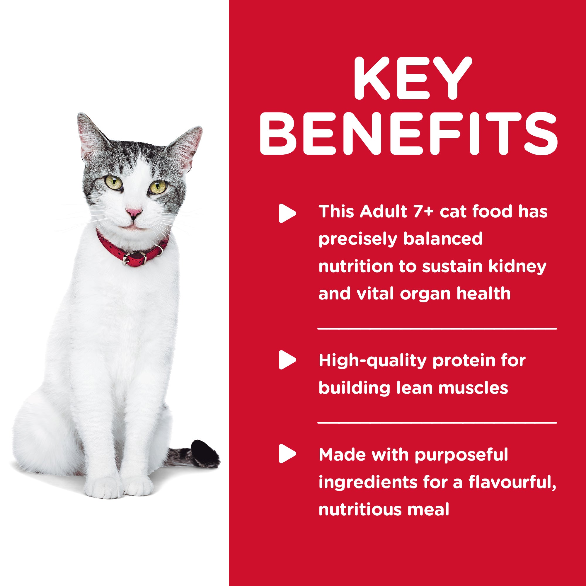 high protein cat food for senior cats