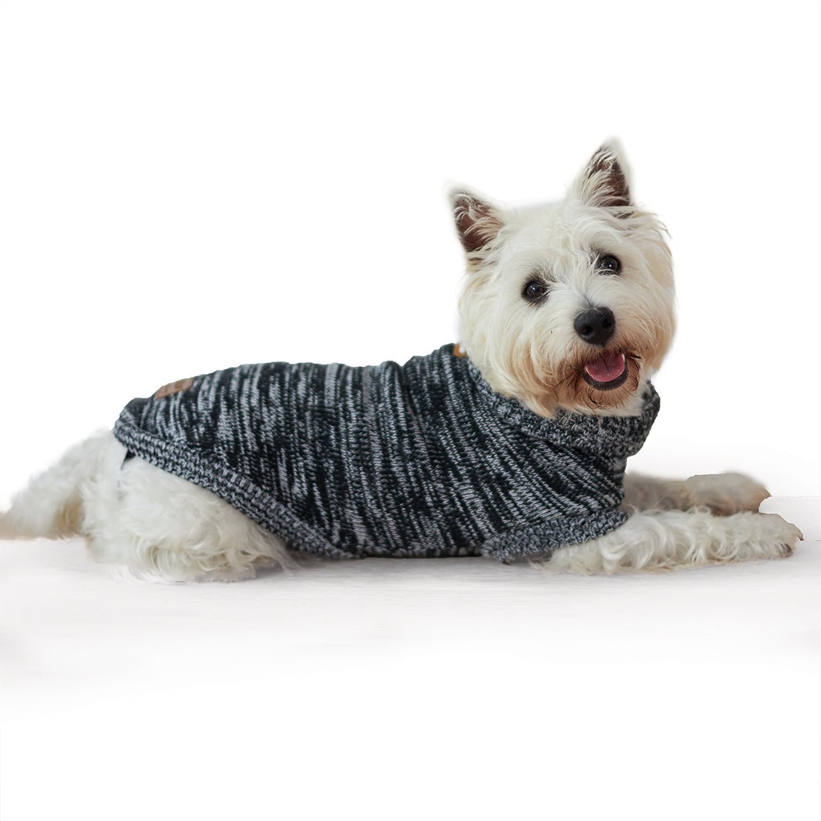 top paw dog apparel