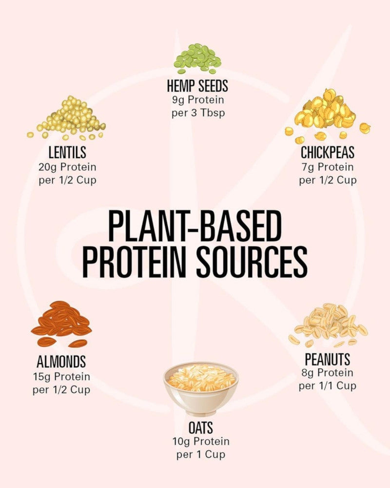 plant based protein sources