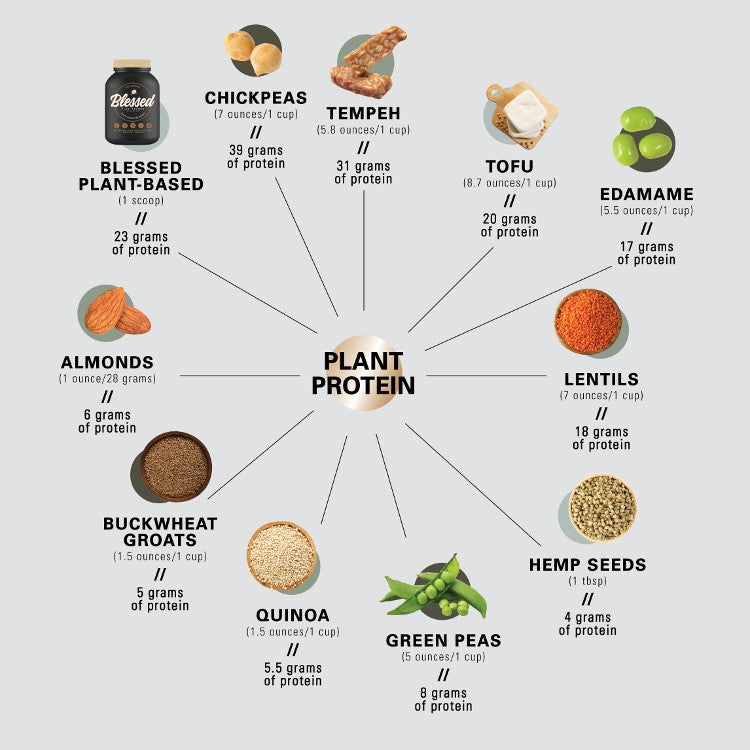 Whats The Big Deal About Macros? Part Two – WBK FIT