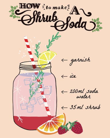 Instructions to make pyewackets shrub soda