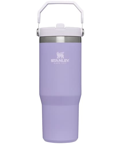 Very Rare Stanley 30 oz Soft Matte Tumbler Orchid Hardest To Find