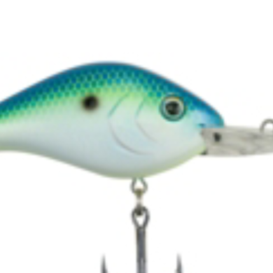 Buy Berkley Big Game Lip Grip Digital Scale 176193 Fishing