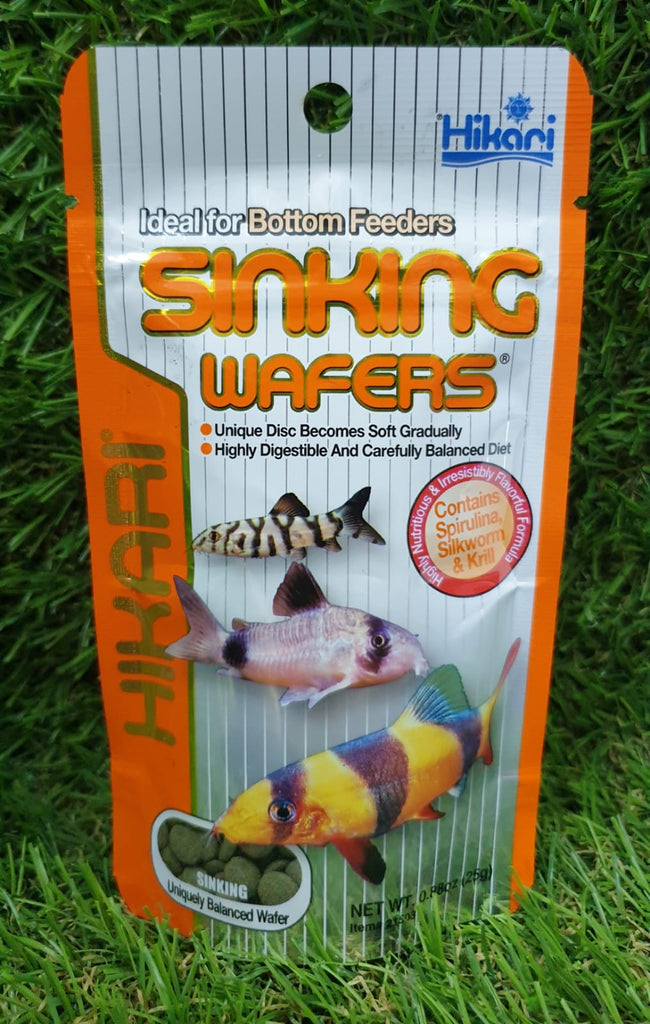 TETRA Cory ShrimpWafers 250 ml nourriture complète spéciale Corydoras et  autres poissons de fond - Nourritures eau douce/Nourriture pour poissons de  fond -  - Aquariophilie