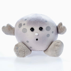 moon cuddly toy