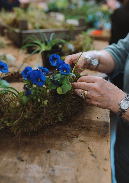 cumbria floristry