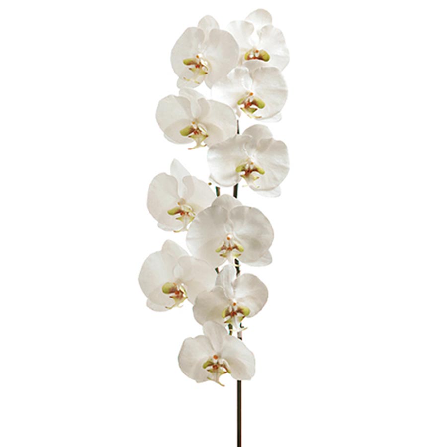 Faux phalaenopsis orchid stem, permanent orchid stem, faux orchid – Palm  Bungalow