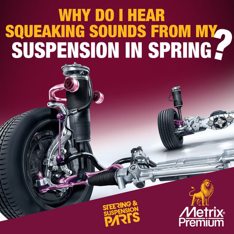 Why do I hear squeaking sounds from my suspension in spring?