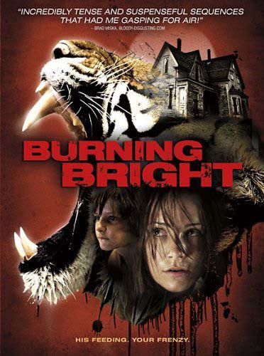 うのにもお得な情報満載 中古 Burning Bright Dvd Import アニメ Umabista Com