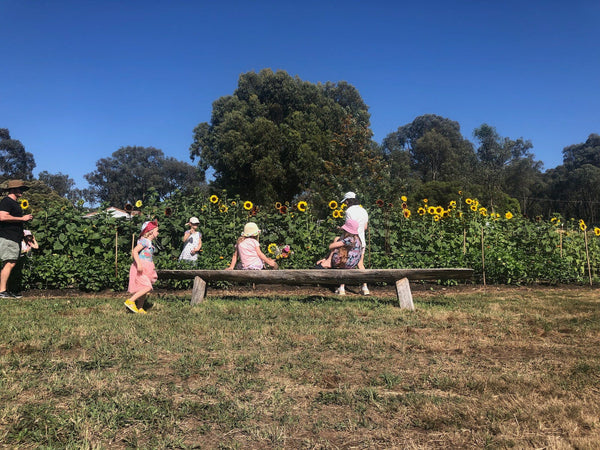 Young family walking around flower farm