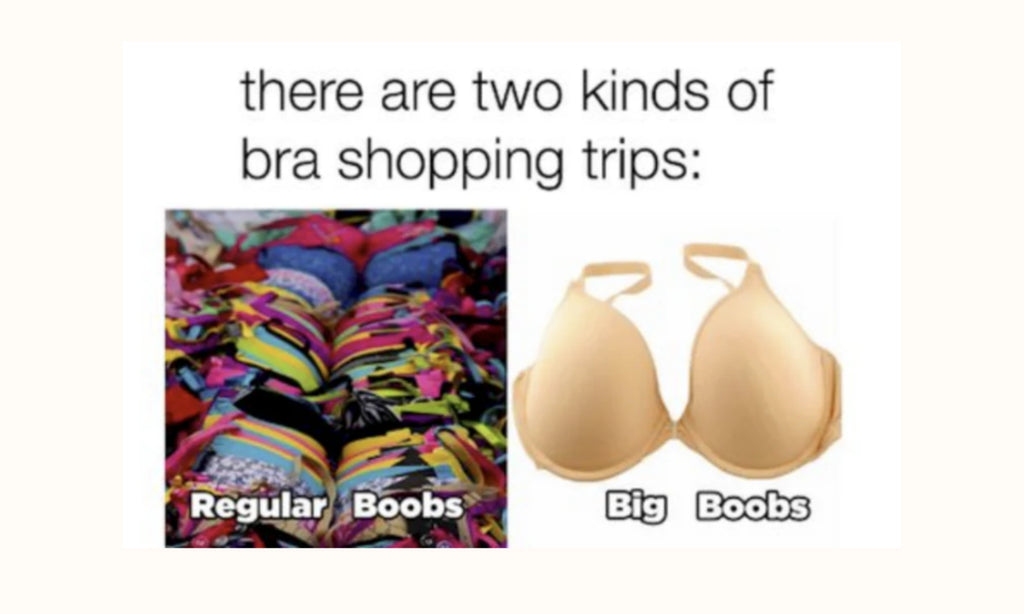 20 Best Boob Memes For Every Breast Size Anaono