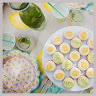 lemonade party tableware