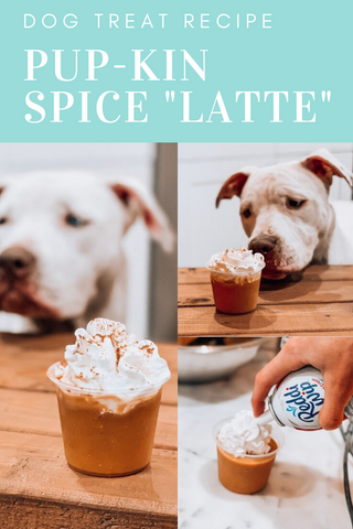 Dog Treat Recipe PupKin Spice Latte
