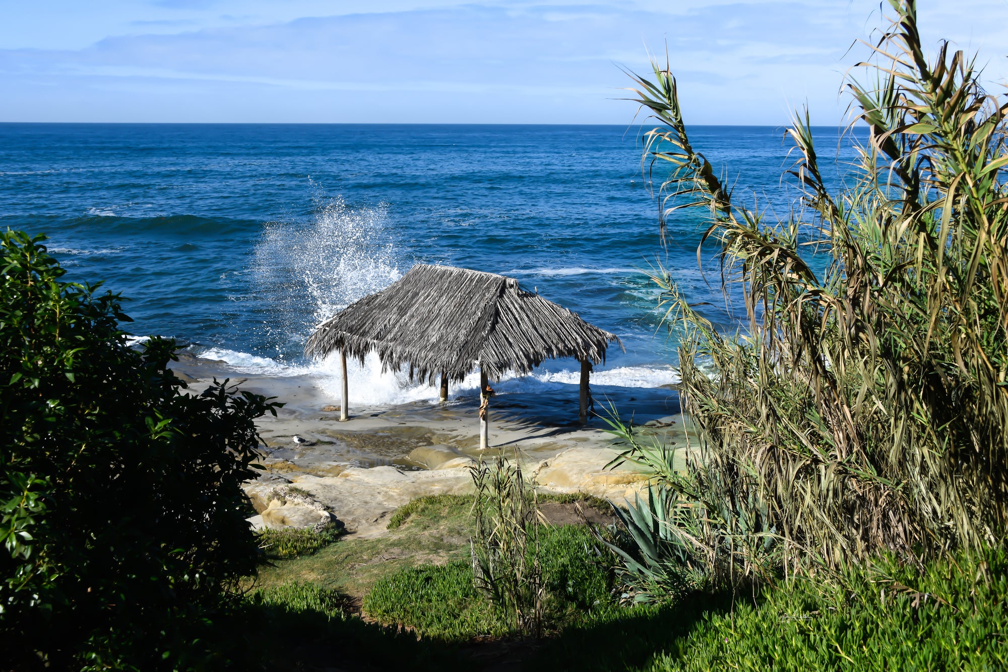 Wind and Sea Surf Shack in the Fog - Life Images by Gloria